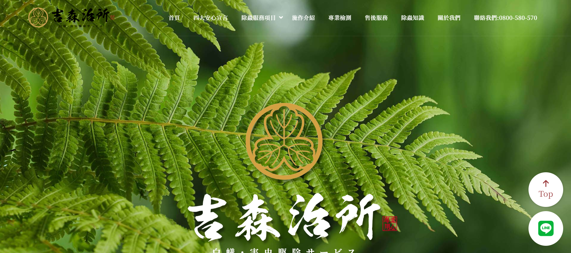 新北除白蟻公司推薦吉森治所