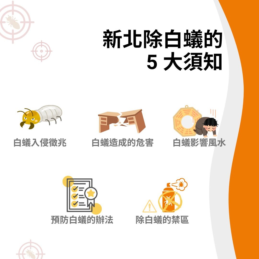 新北除白蟻須知