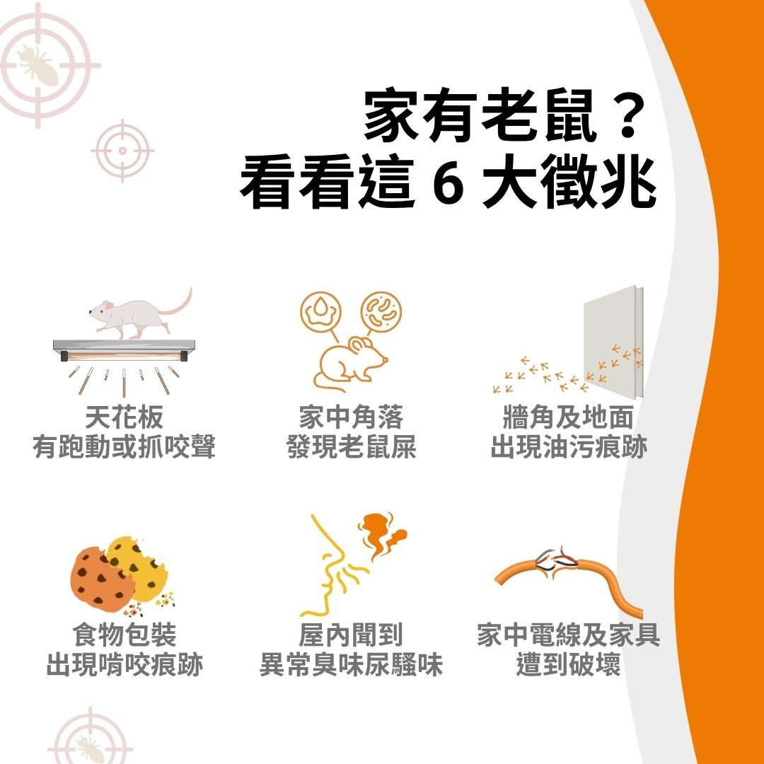家有老鼠的徵兆