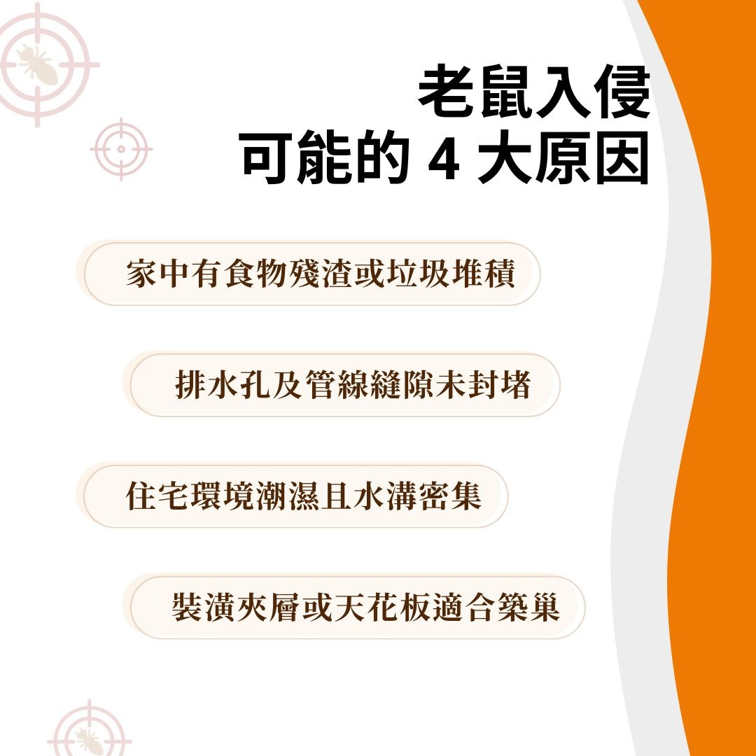老鼠入侵的原因
