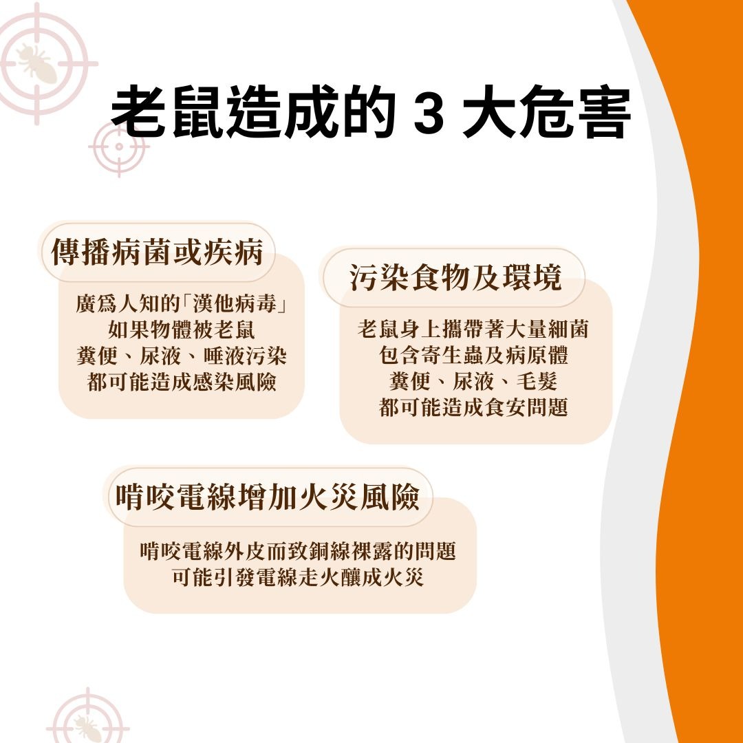 老鼠造成的危害