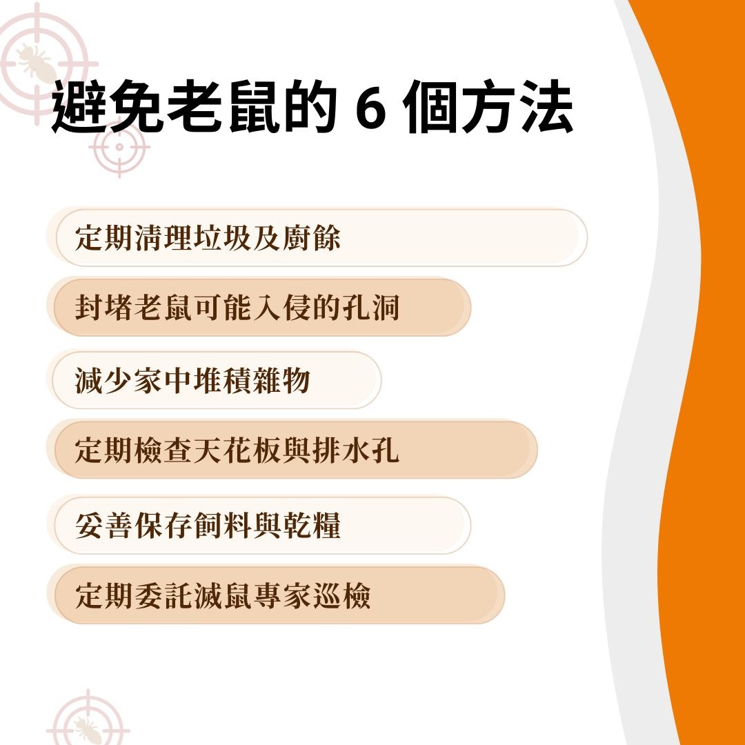避免老鼠的方法