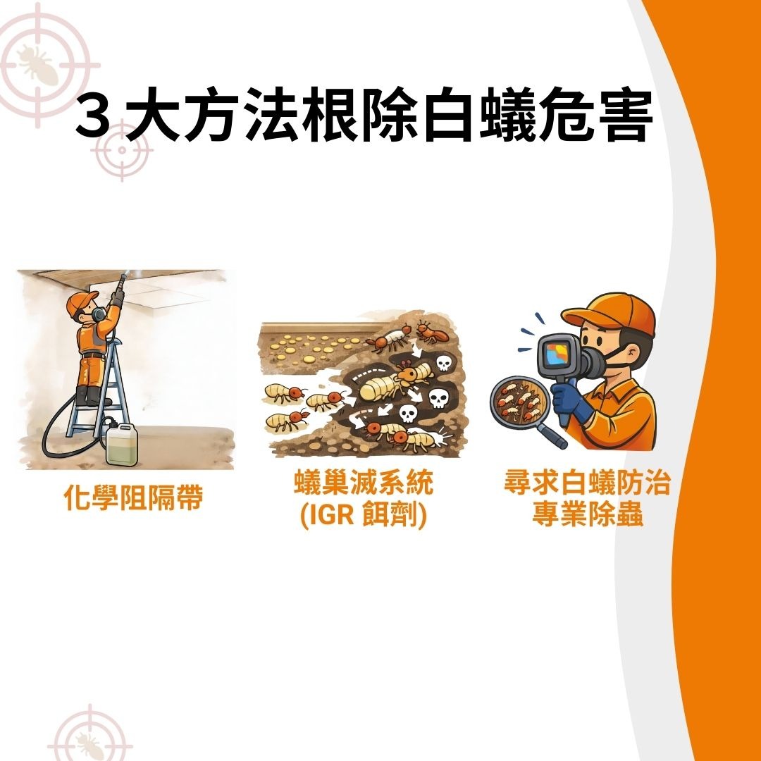 白蟻怎麼處理