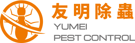 新北除白蟻推薦友明除蟲