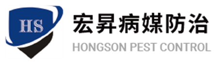 桃園除白蟻推薦