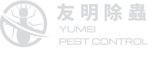 頁尾Logo